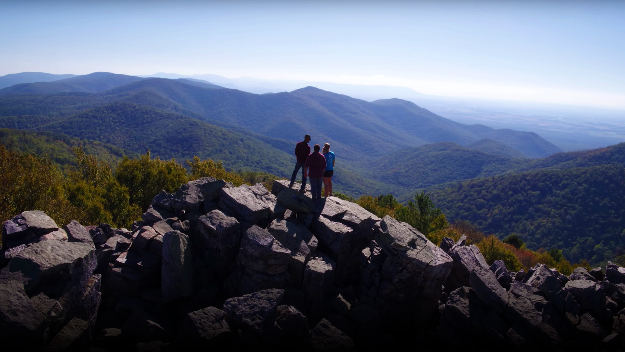 Portrait of a scenic view of blueridge parkway