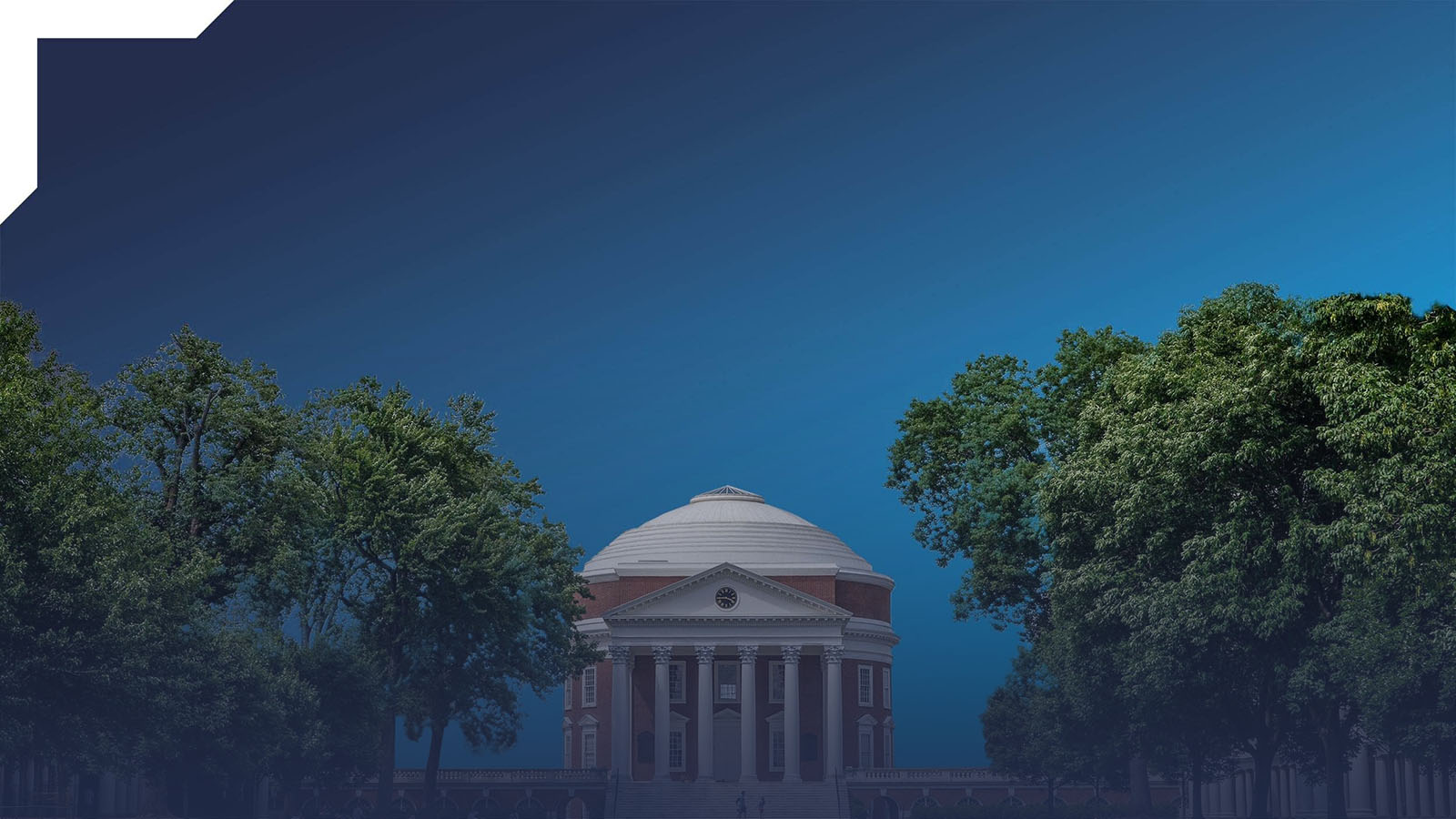 Portrait of a UVA engineering student testing a car safety feature.