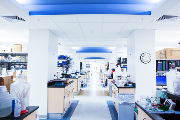 Engine for Research and Innovation