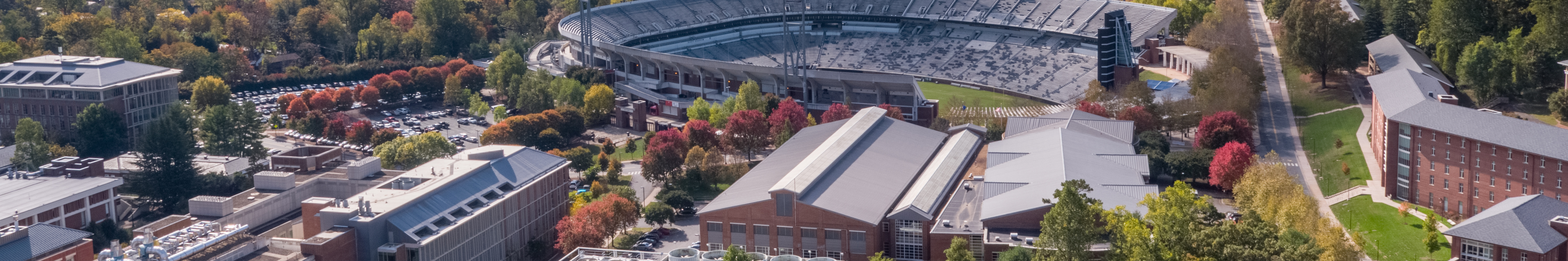 A banner portrait of a rounded ceiling with a chandelier hanging in the center.