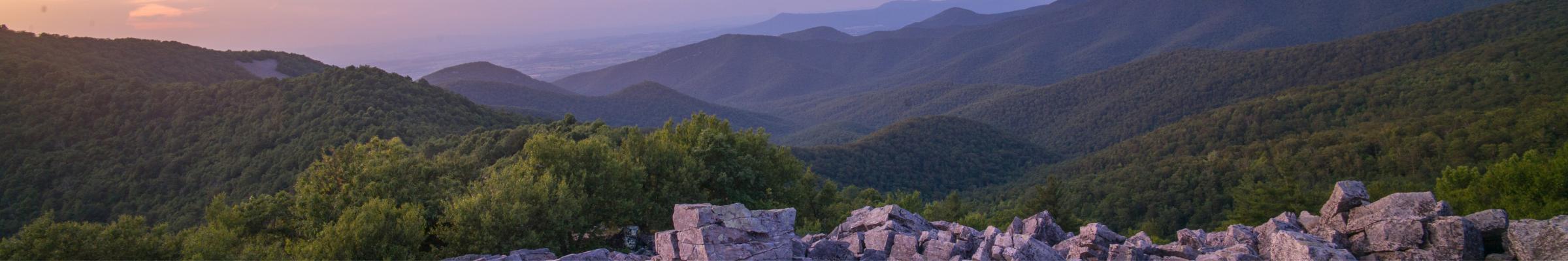 A portrait banner of a snow-covered building.