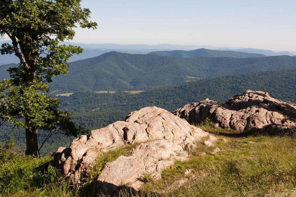 A portrait capturing the scenic view from the top of the hill.
