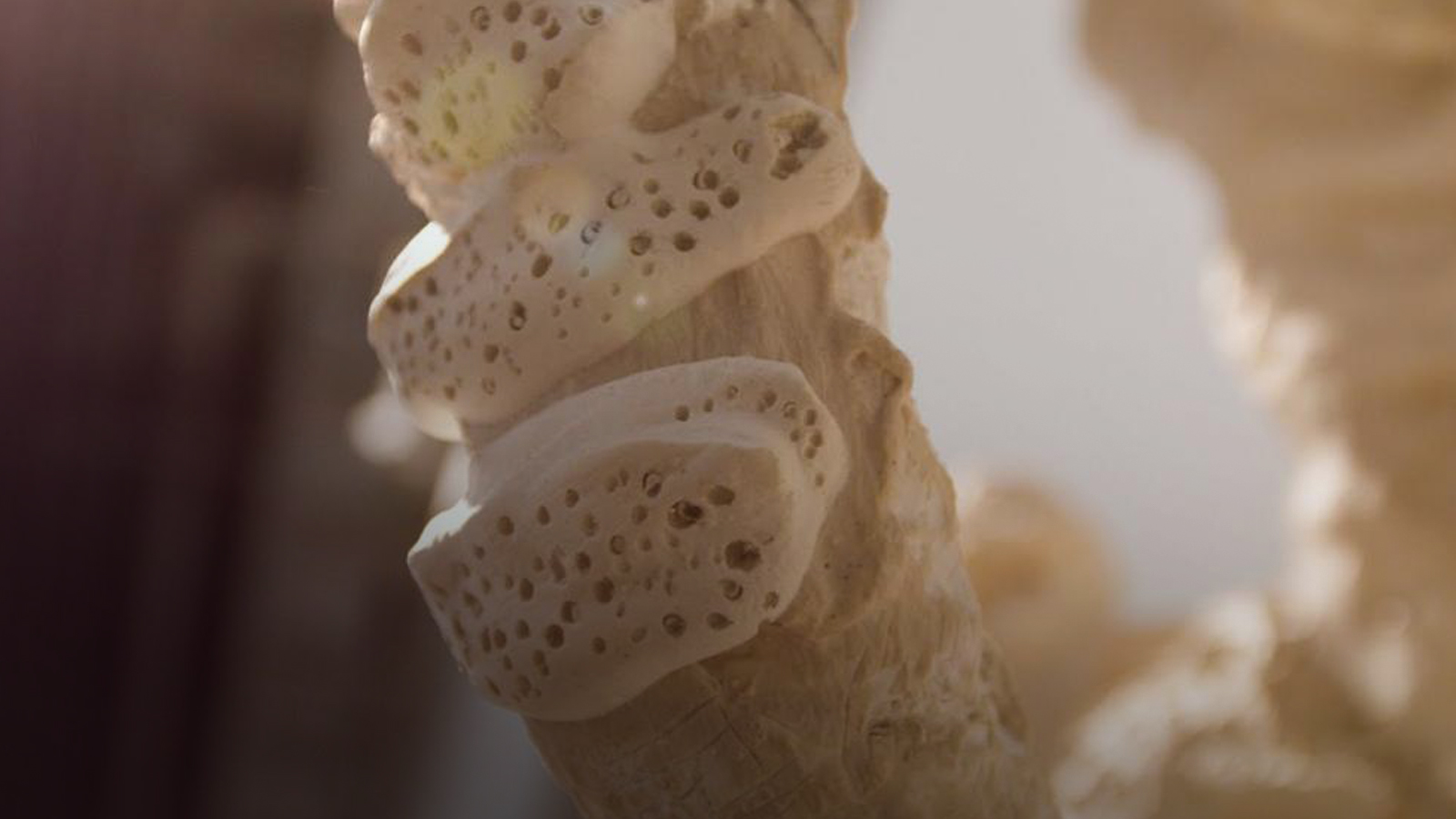 Portrait of Art describing a Think with Their Hands.